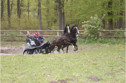 Bed en Stal Recreatieoord Hippique Camper VMP132